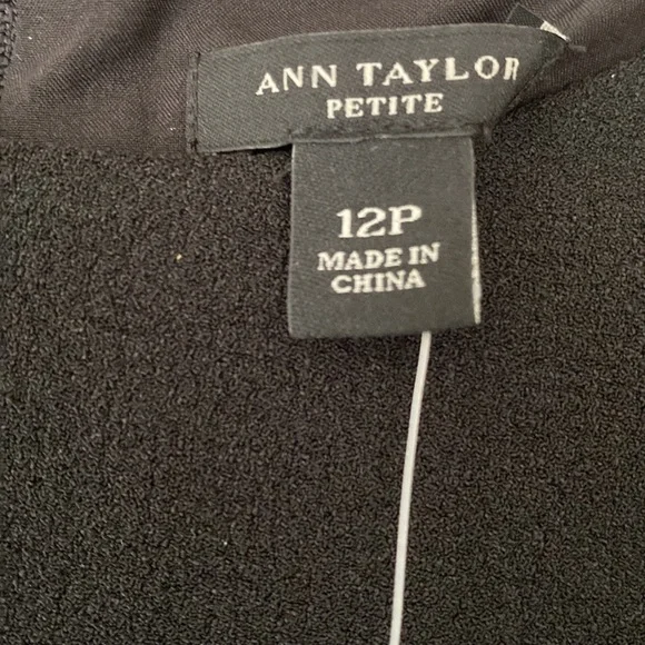 Ann Taylor petite dress with contrasting fabric on sides for a small waist look - Picture 3 of 5